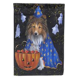 28 x 0.01 x 40 in. Sheltie Halloween Witch Canvas House Flag