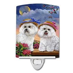 6 x 4 in. Bichon Frise Soulmates Ceramic Night Light