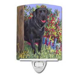 6 x 4 in. Black Labrador Retriever Ceramic Night Light