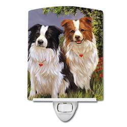 6 x 4 in. Border Collie Patrol Ceramic Night Light