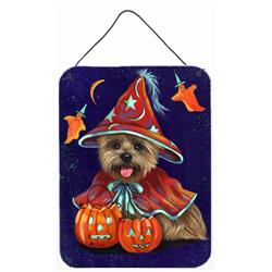 12 x 16 in. Cairn Terrier Halloween Witch Wall or Door Hanging Prints