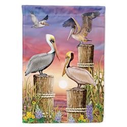 11 x 0.01 x 15 in. Pelicans Garden Flag