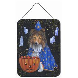 12 x 16 in. Sheltie Halloween Witch Wall or Door Hanging Prints