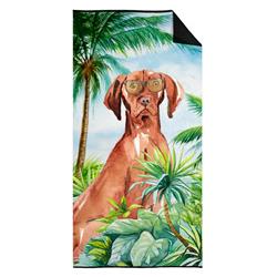 30 x 60 in. Vizsla Premium Beach Towel