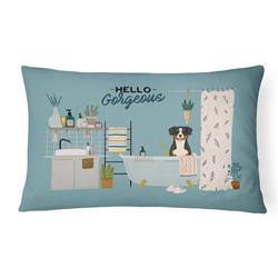 12 x 3 x 16 in. Entlebucher in Bathtub Canvas Fabric Decorative Pillow