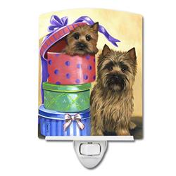 6 x 4 in. Cairn Terrier Boudoir Ceramic Night Light