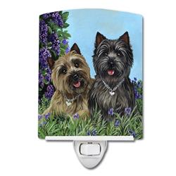 6 x 4 in. Cairn Terrier Donation Ceramic Night Light