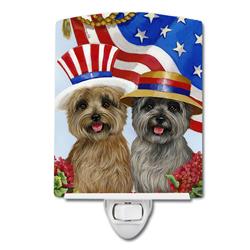 6 x 4 in. Cairn Terrier USA Ceramic Night Light