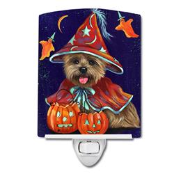 6 x 4 in. Cairn Terrier Halloween Witch Ceramic Night Light