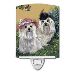 6 x 4 in. Maltese Mr & Mrs Ceramic Night Light
