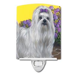 6 x 4 in. Maltese Patio Princess Ceramic Night Light