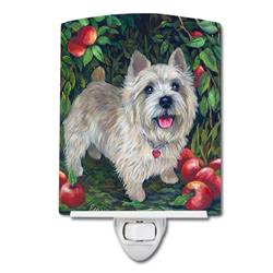 6 x 4 in. Norwich Terrier Apple Grove Ceramic Night Light