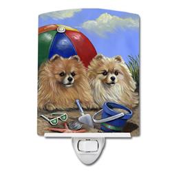6 x 4 in. Pomeranian Beach Ceramic Night Light
