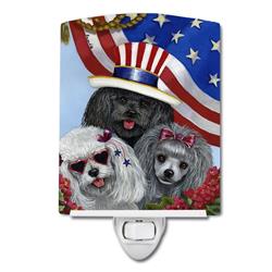 6 x 4 in. Poodle USA Ceramic Night Light