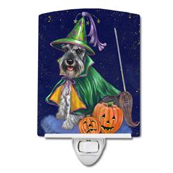 6 x 4 in. Schnauzer Halloween Good Witch Ceramic Night Light