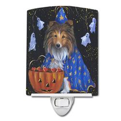 6 x 4 in. Sheltie Halloween Witch Ceramic Night Light