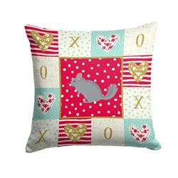 Picture of Carolines Treasures CK5422PW1414 14 x 3 x 14 in. Foggy Chinchilla Love Fabric Decorative Pillow