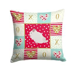 14 x 3 x 14 in. Pink & White Chinchilla Love Fabric Decorative Pillow