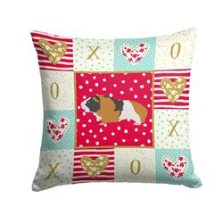 14 x 3 x 14 in. Rex Guinea Pig Love Fabric Decorative Pillow