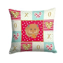 14 x 3 x 14 in. Teddy Bear Hamster Love Fabric Decorative Pillow