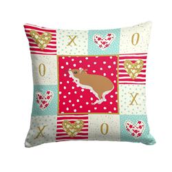 14 x 3 x 14 in. White Legged Hamster Love Fabric Decorative Pillow