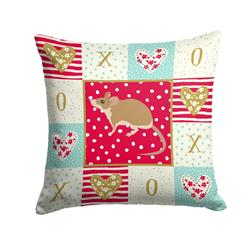 14 x 3 x 14 in. Spiny Mouse Love Fabric Decorative Pillow
