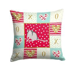 14 x 3 x 14 in. Husky Rat Love Fabric Decorative Pillow