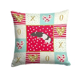 14 x 3 x 14 in. Tailless Rat Love Fabric Decorative Pillow