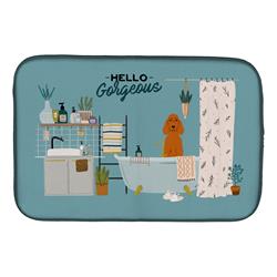 14 x 21 in. Irish Setter in Bathtub Dish Drying Mat