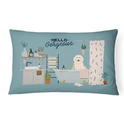 12 x 3 x 16 in. Great Pyrenese in Bathtub Canvas Fabric Decorative Pillow