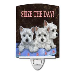 6 x 4 in. Westie Seize the Day Ceramic Night Light