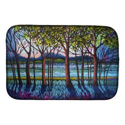 Picture of Carolines Treasures PPD3022DDM 14 x 21 in. Tanzanite River Dish Drying Mat