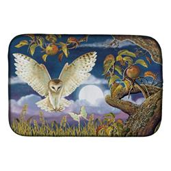 Picture of Carolines Treasures PRS4062DDM 14 x 21 in. Barn Owl in the Apple Orchard Dish Drying Mat