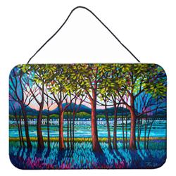 8 x 12 in. Tanzanite River Wall or Door Hanging Prints