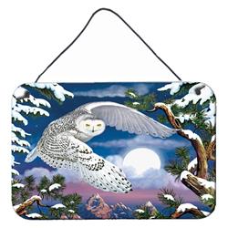 8 x 12 in. Snowy Owl Wall or Door Hanging Prints