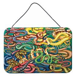 8 x 12 in. Snakes Wall or Door Hanging Prints