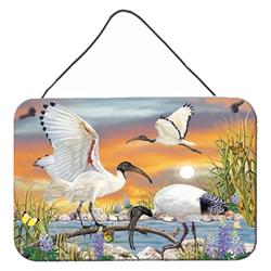 8 x 12 in. Sacred Ibis Wall or Door Hanging Prints