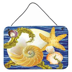 8 x 12 in. Cut Nautilus & Starfish Wall or Door Hanging Prints