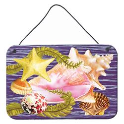 8 x 12 in. Conch & Starfish Wall or Door Hanging Prints