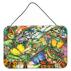 8 x 12 in. Insects & Butterflies Bug World Wall or Door Hanging Prints
