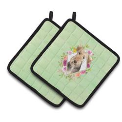 CK4364PTHD 7.5 x 7.5 in. Airedale Terrier Green Flowers Pair of Pot Holders