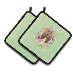 CK4419PTHD 7.5 x 7.5 in. Bloodhound Green Flowers Pair of Pot Holders