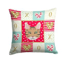 14 x 3 x 14 in. California Spangled Cat Love Fabric Decorative Pillow