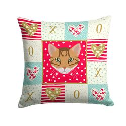 14 x 3 x 14 in. Cheetoh Cat Love Fabric Decorative Pillow