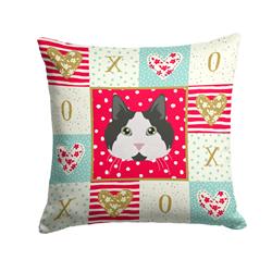 14 x 3 x 14 in. Cymric No.2 Cat Love Fabric Decorative Pillow