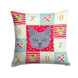 14 x 3 x 14 in. Korat Cat Love Fabric Decorative Pillow