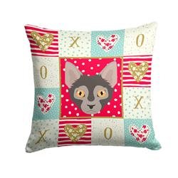 14 x 3 x 14 in. Lykoi Cat Love Fabric Decorative Pillow