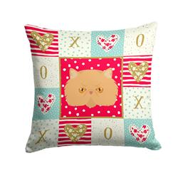 14 x 3 x 14 in. Persian Modern Cat Love Fabric Decorative Pillow