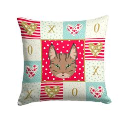14 x 3 x 14 in. Pixie Bob Cat Love Fabric Decorative Pillow