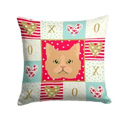 14 x 3 x 14 in. Selkirk Rex Cat Love Fabric Decorative Pillow